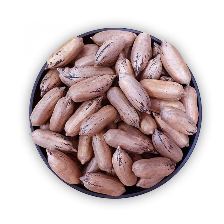 Nuez Pecan con Cáscara La Ardillita